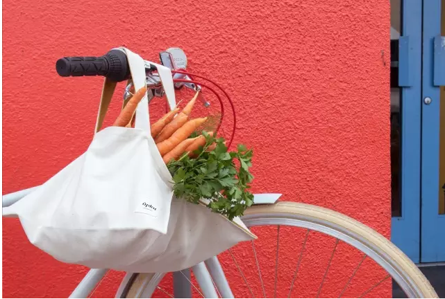 環保手提紙袋廠家-廣州駿業包裝實業有限公司 環保手提紙袋廠家